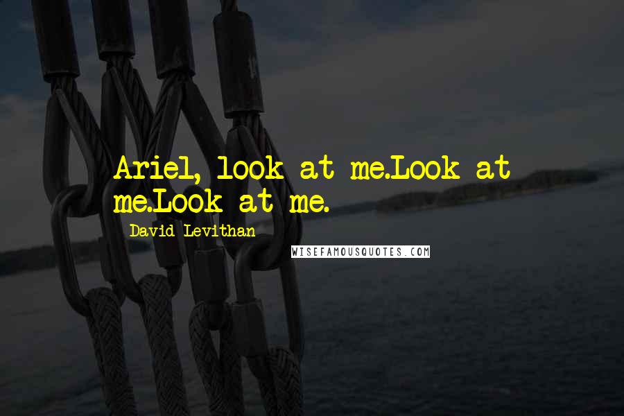 David Levithan Quotes: Ariel, look at me.Look at me.Look at me.