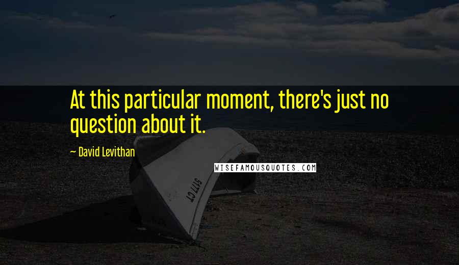 David Levithan Quotes: At this particular moment, there's just no question about it.