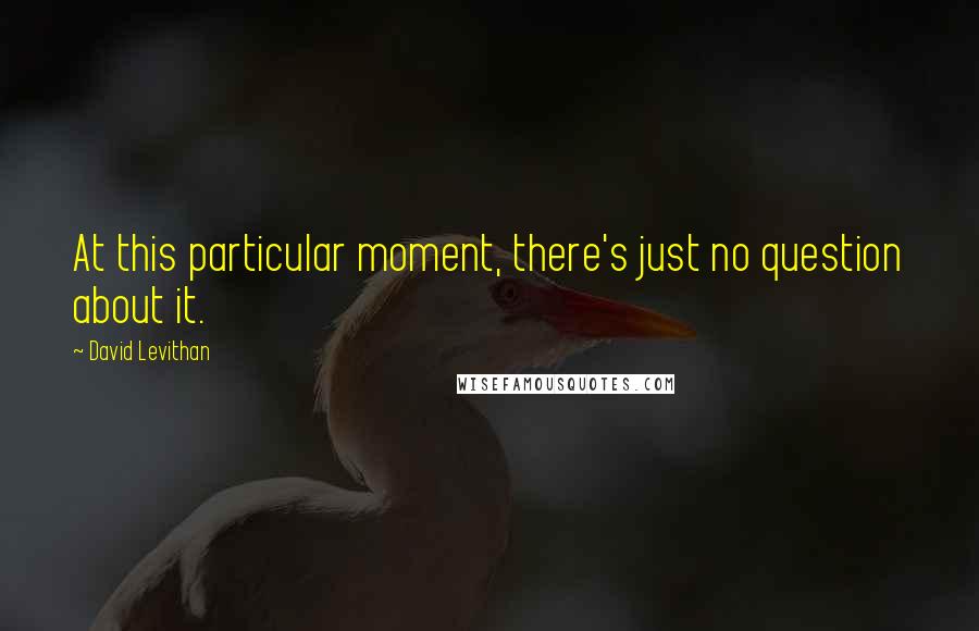 David Levithan Quotes: At this particular moment, there's just no question about it.