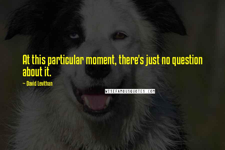 David Levithan Quotes: At this particular moment, there's just no question about it.