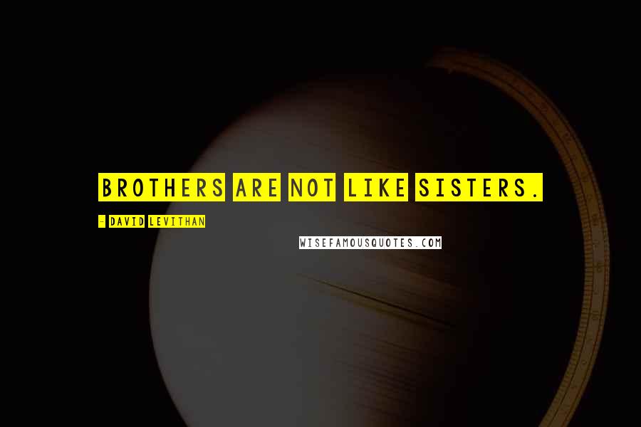 David Levithan Quotes: Brothers are not like sisters.