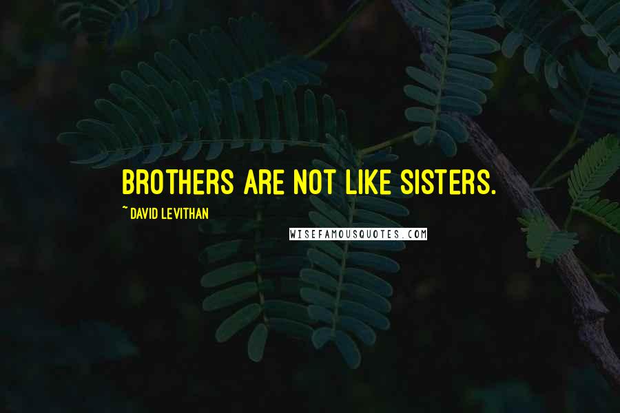 David Levithan Quotes: Brothers are not like sisters.