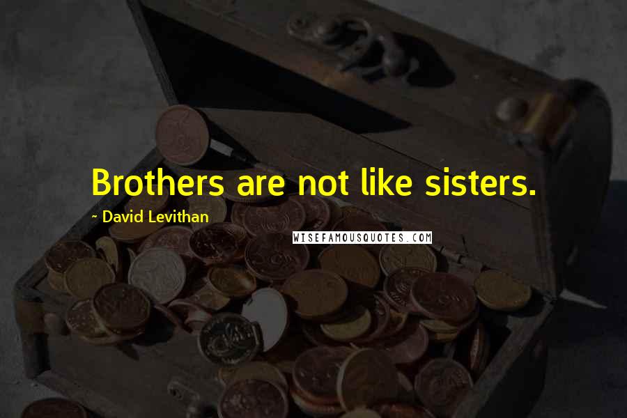 David Levithan Quotes: Brothers are not like sisters.