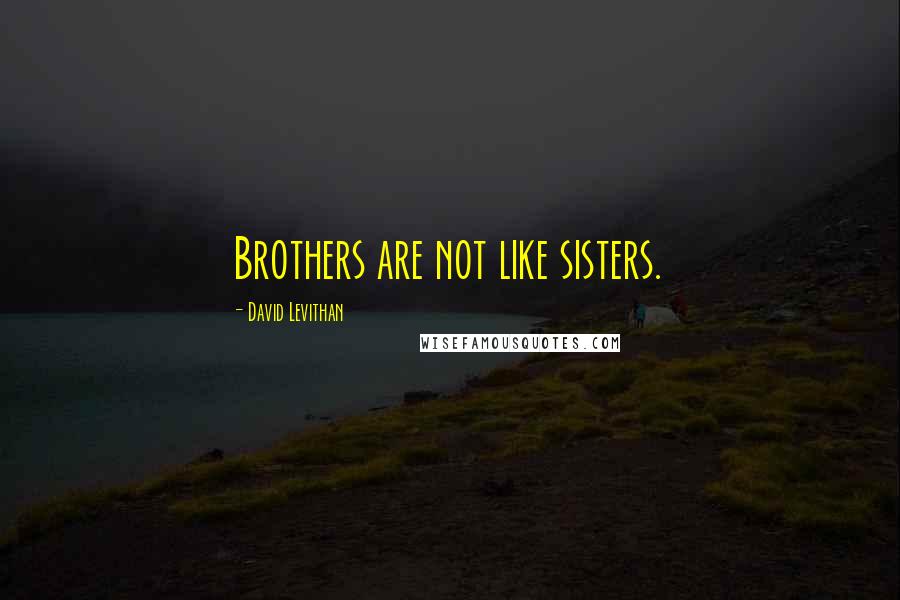 David Levithan Quotes: Brothers are not like sisters.