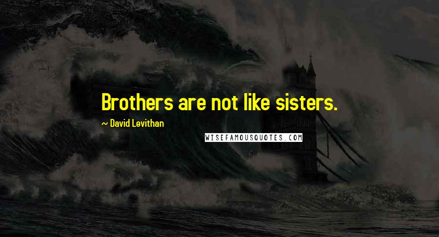 David Levithan Quotes: Brothers are not like sisters.