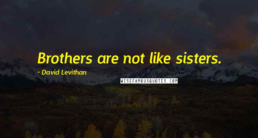 David Levithan Quotes: Brothers are not like sisters.