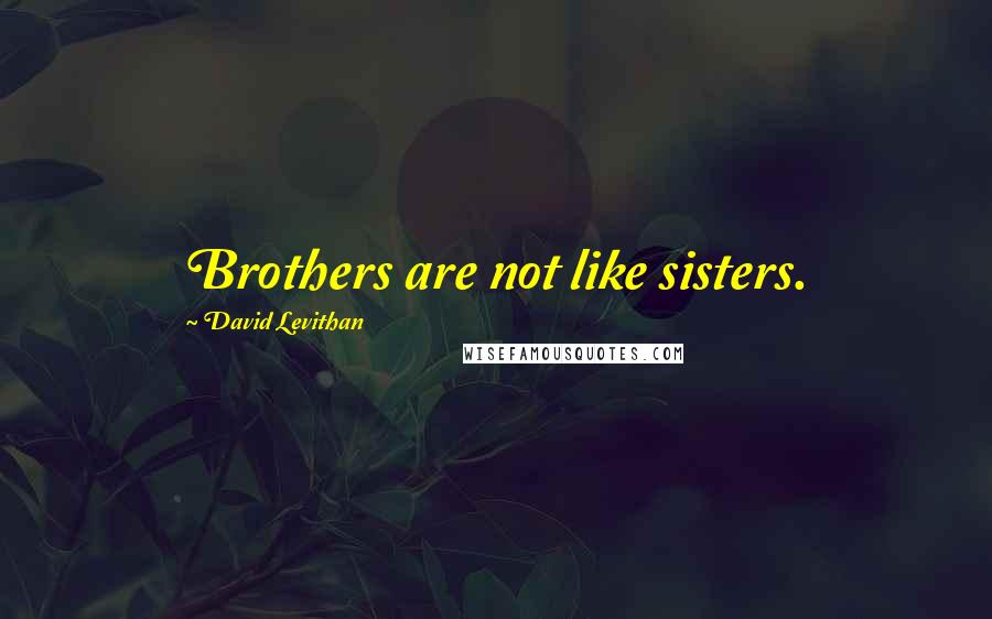 David Levithan Quotes: Brothers are not like sisters.