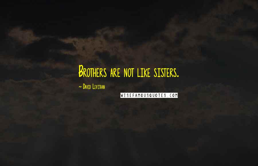 David Levithan Quotes: Brothers are not like sisters.