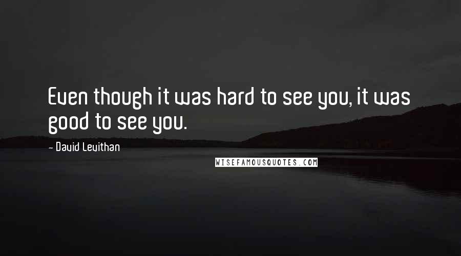 David Levithan Quotes: Even though it was hard to see you, it was good to see you.