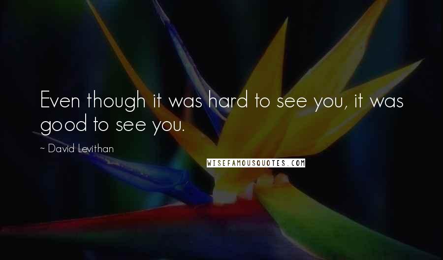 David Levithan Quotes: Even though it was hard to see you, it was good to see you.