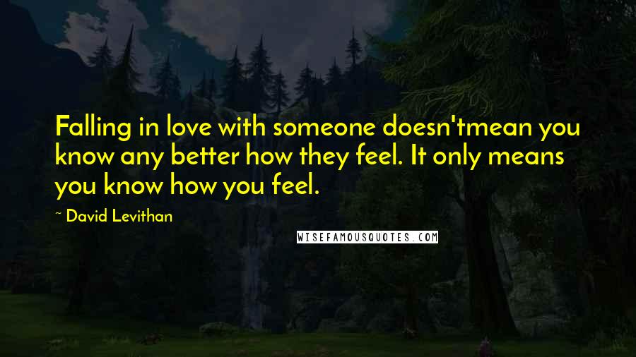 David Levithan Quotes: Falling in love with someone doesn'tmean you know any better how they feel. It only means you know how you feel.