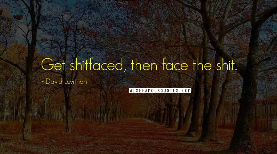 David Levithan Quotes: Get shitfaced, then face the shit.