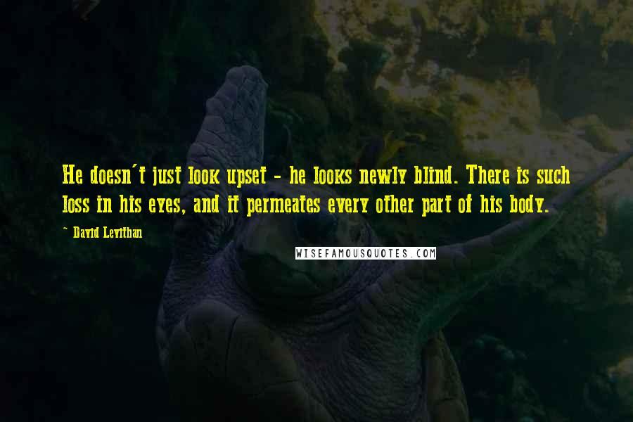 David Levithan Quotes: He doesn't just look upset - he looks newly blind. There is such loss in his eyes, and it permeates every other part of his body.