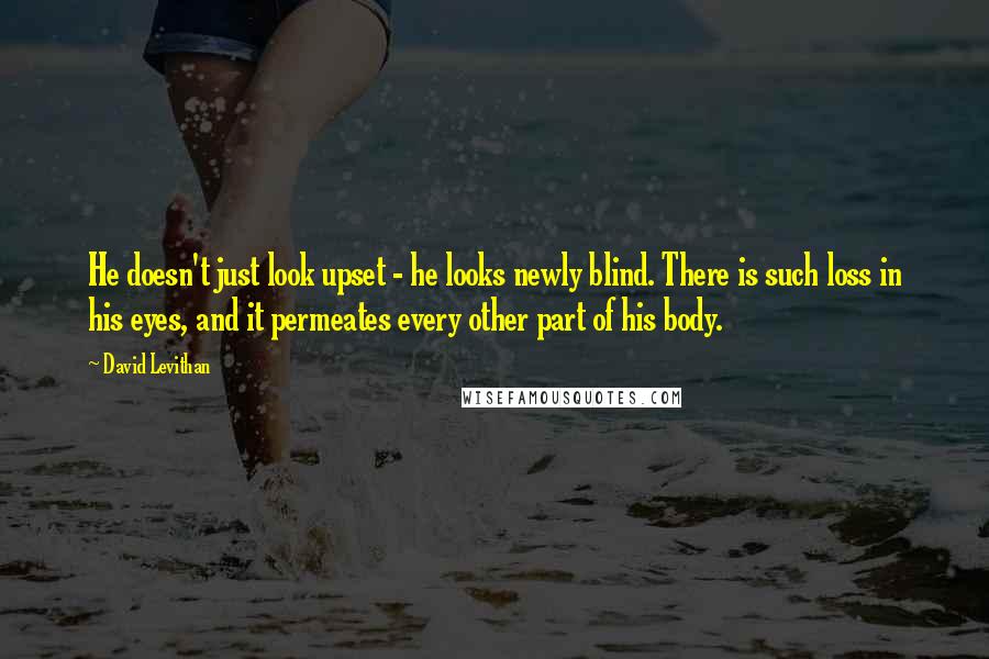 David Levithan Quotes: He doesn't just look upset - he looks newly blind. There is such loss in his eyes, and it permeates every other part of his body.