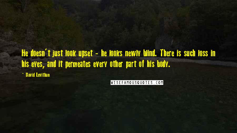 David Levithan Quotes: He doesn't just look upset - he looks newly blind. There is such loss in his eyes, and it permeates every other part of his body.