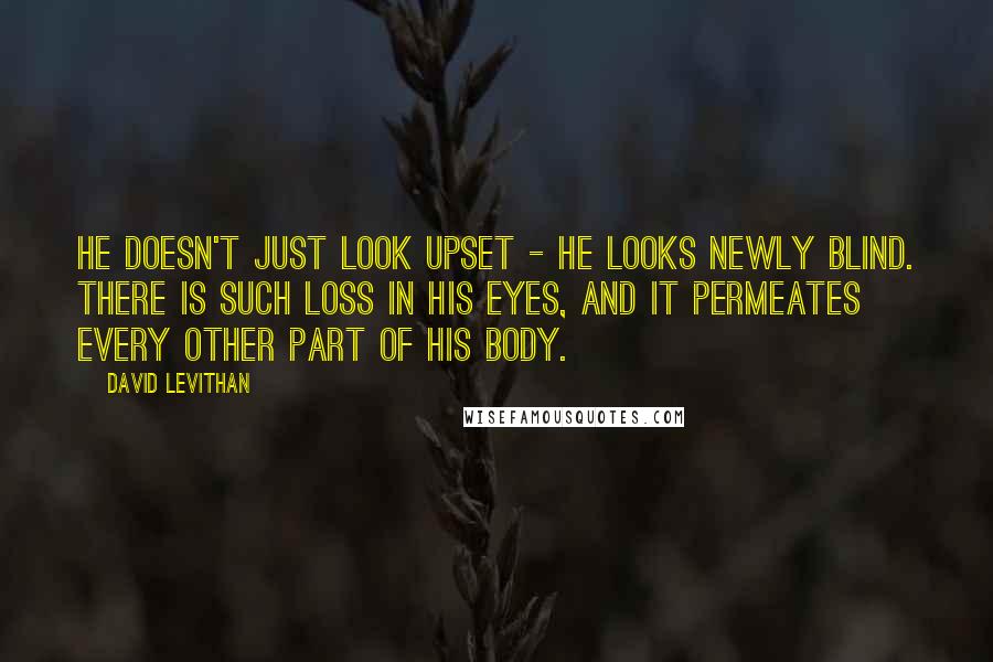 David Levithan Quotes: He doesn't just look upset - he looks newly blind. There is such loss in his eyes, and it permeates every other part of his body.