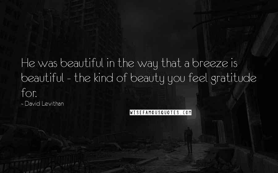 David Levithan Quotes: He was beautiful in the way that a breeze is beautiful - the kind of beauty you feel gratitude for.