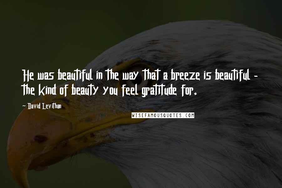 David Levithan Quotes: He was beautiful in the way that a breeze is beautiful - the kind of beauty you feel gratitude for.