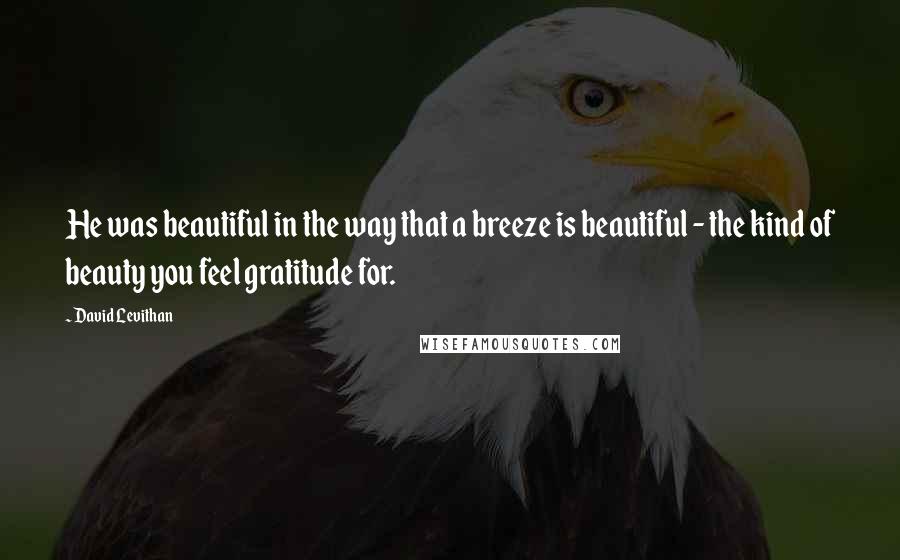 David Levithan Quotes: He was beautiful in the way that a breeze is beautiful - the kind of beauty you feel gratitude for.