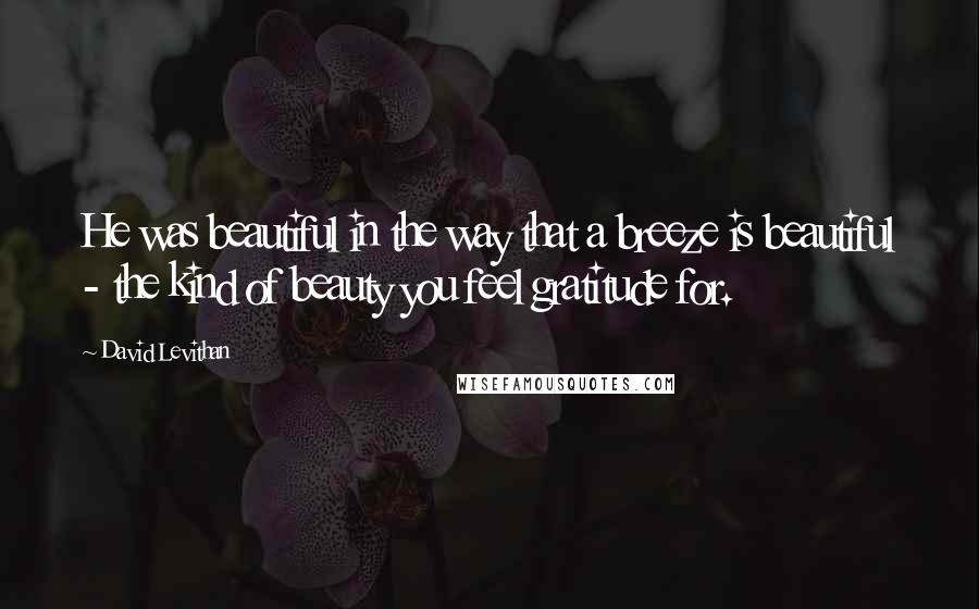David Levithan Quotes: He was beautiful in the way that a breeze is beautiful - the kind of beauty you feel gratitude for.