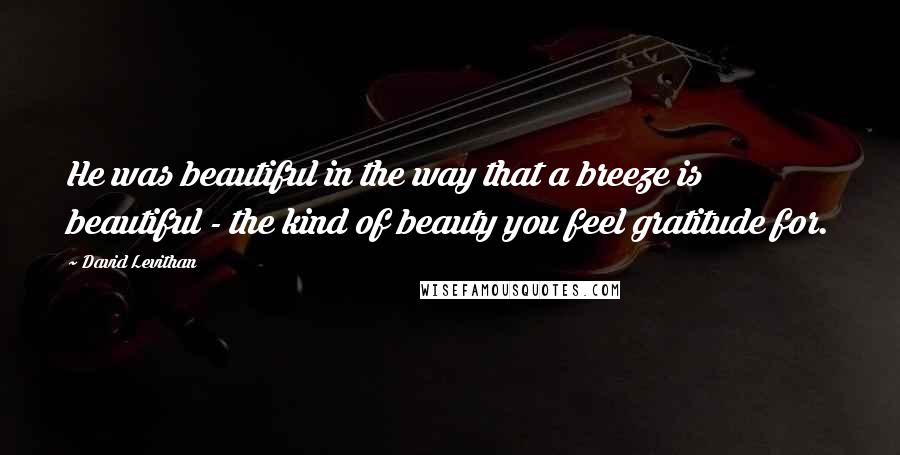 David Levithan Quotes: He was beautiful in the way that a breeze is beautiful - the kind of beauty you feel gratitude for.