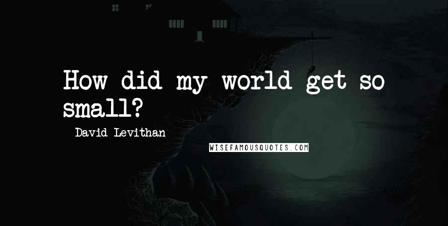 David Levithan Quotes: How did my world get so small?