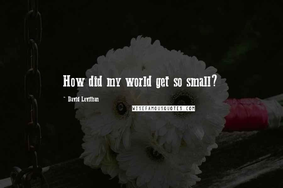 David Levithan Quotes: How did my world get so small?