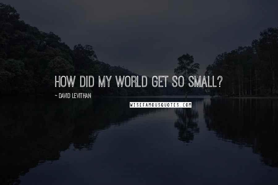 David Levithan Quotes: How did my world get so small?