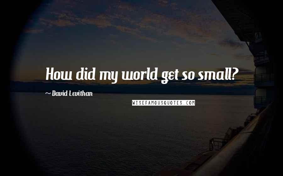 David Levithan Quotes: How did my world get so small?