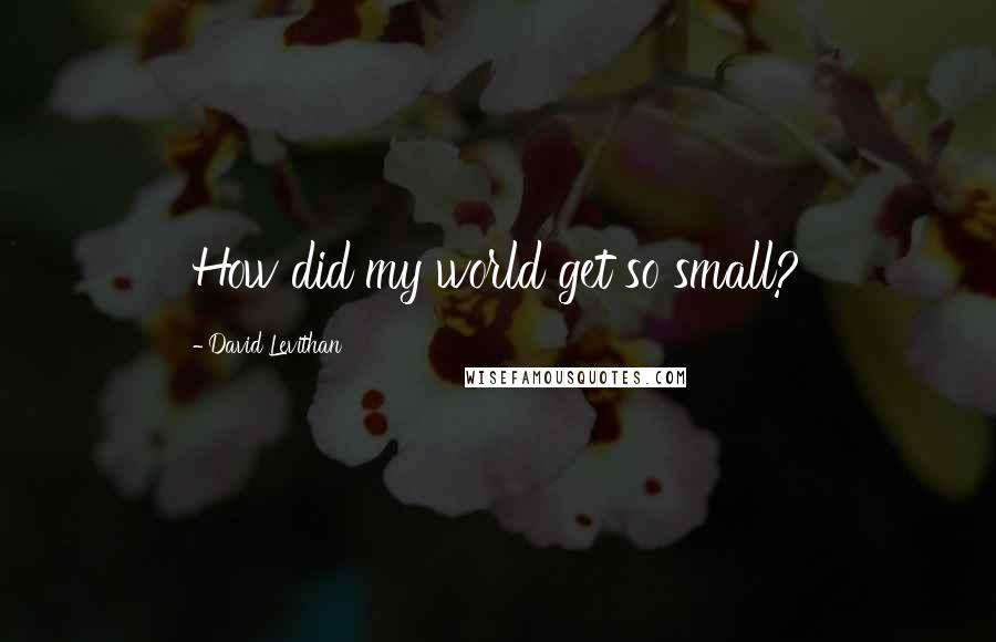 David Levithan Quotes: How did my world get so small?