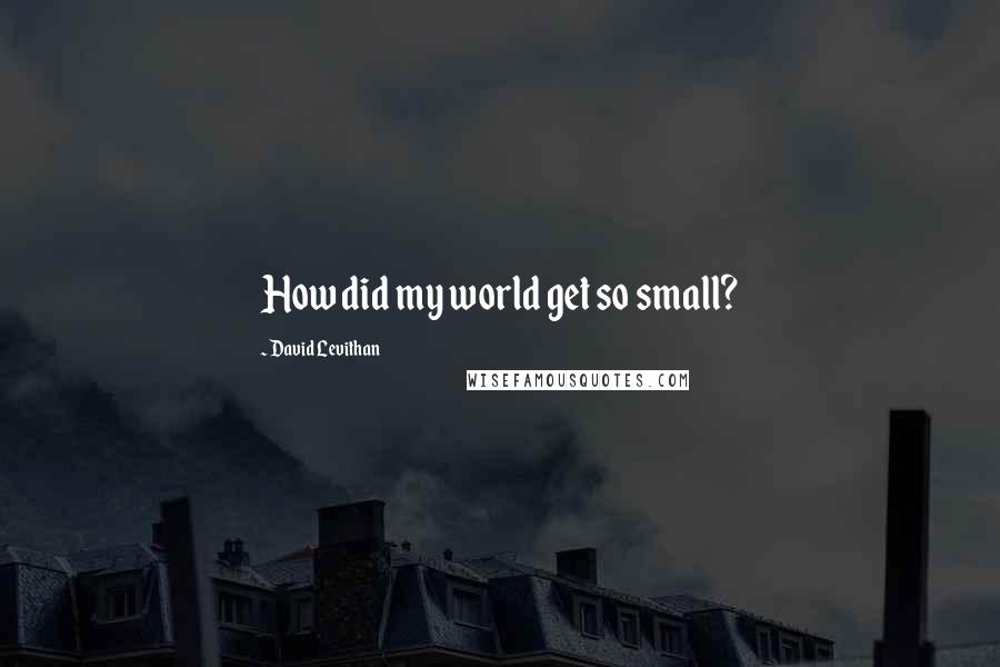 David Levithan Quotes: How did my world get so small?