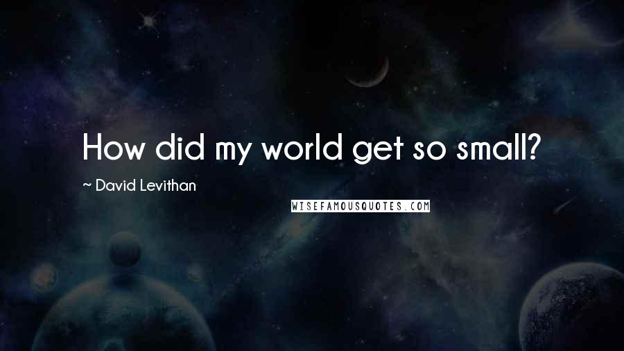 David Levithan Quotes: How did my world get so small?