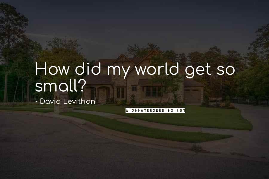 David Levithan Quotes: How did my world get so small?