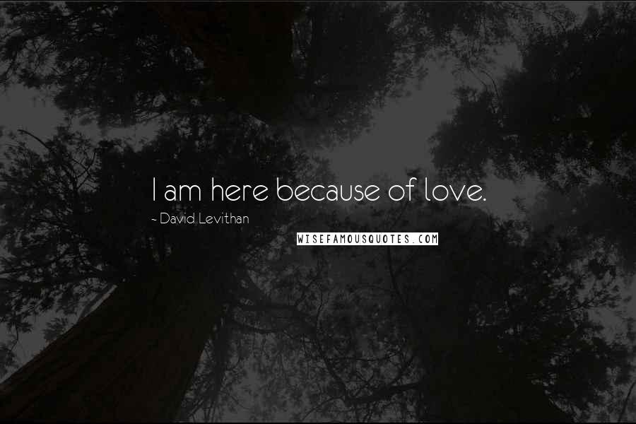 David Levithan Quotes: I am here because of love.