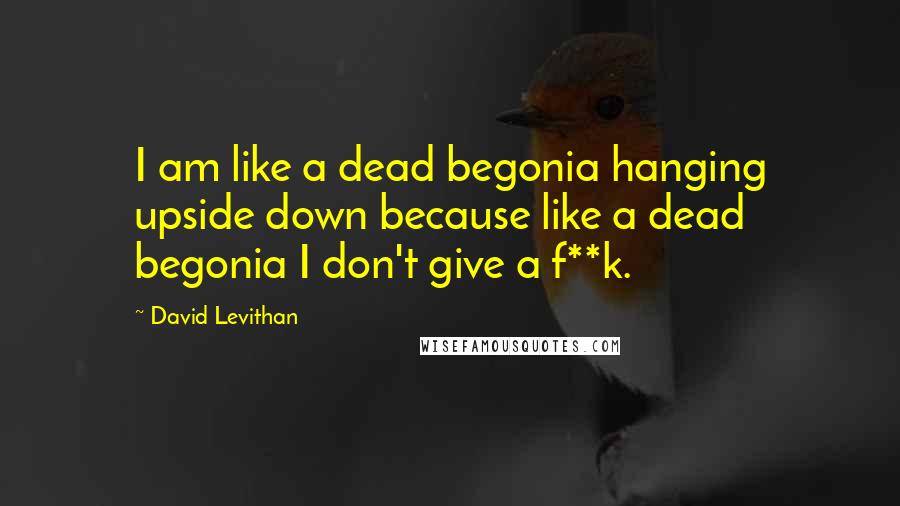 David Levithan Quotes: I am like a dead begonia hanging upside down because like a dead begonia I don't give a f**k.