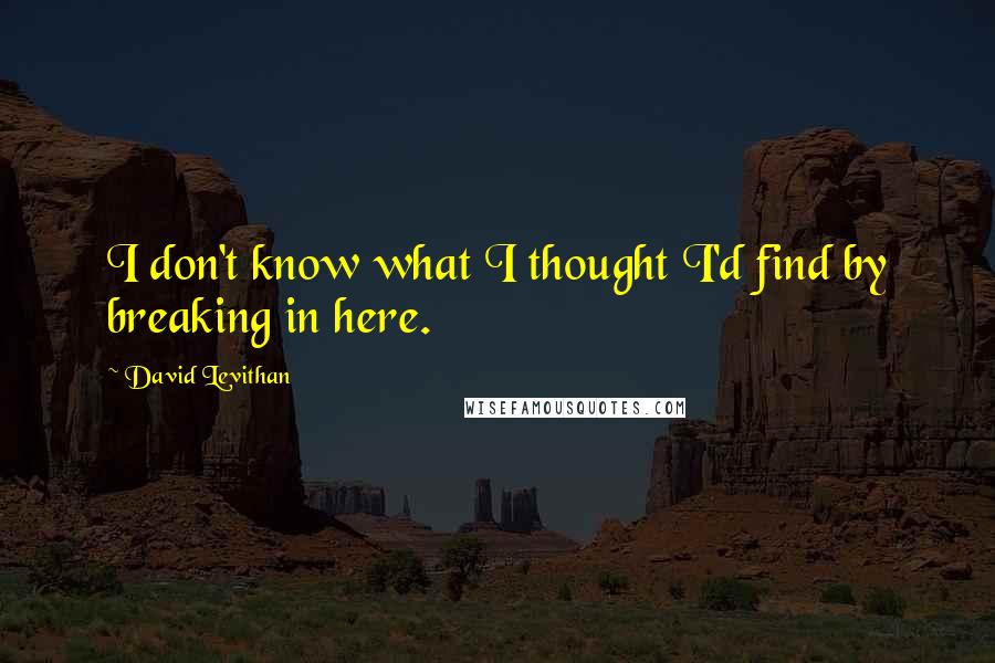 David Levithan Quotes: I don't know what I thought I'd find by breaking in here.