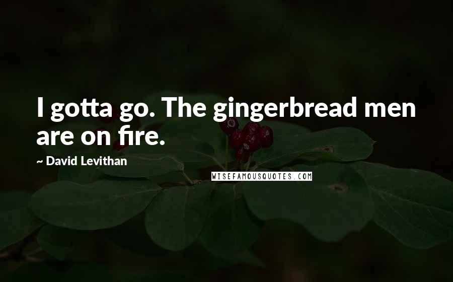 David Levithan Quotes: I gotta go. The gingerbread men are on fire.