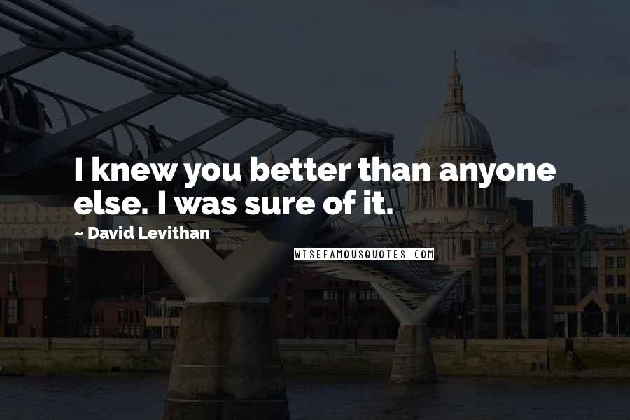 David Levithan Quotes: I knew you better than anyone else. I was sure of it.