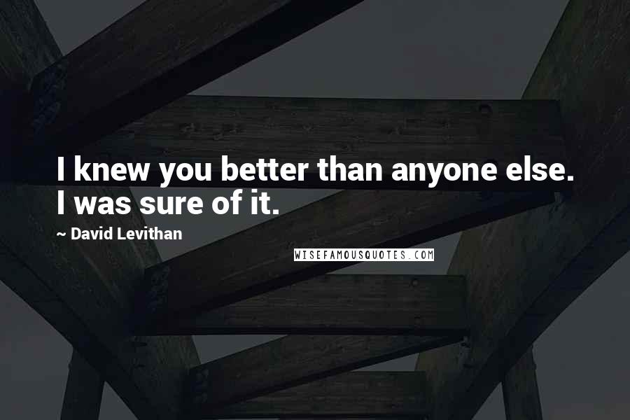 David Levithan Quotes: I knew you better than anyone else. I was sure of it.