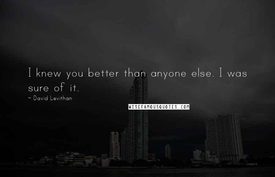 David Levithan Quotes: I knew you better than anyone else. I was sure of it.