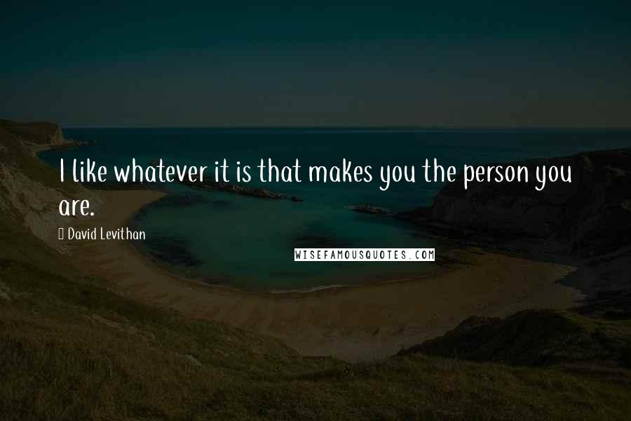 David Levithan Quotes: I like whatever it is that makes you the person you are.