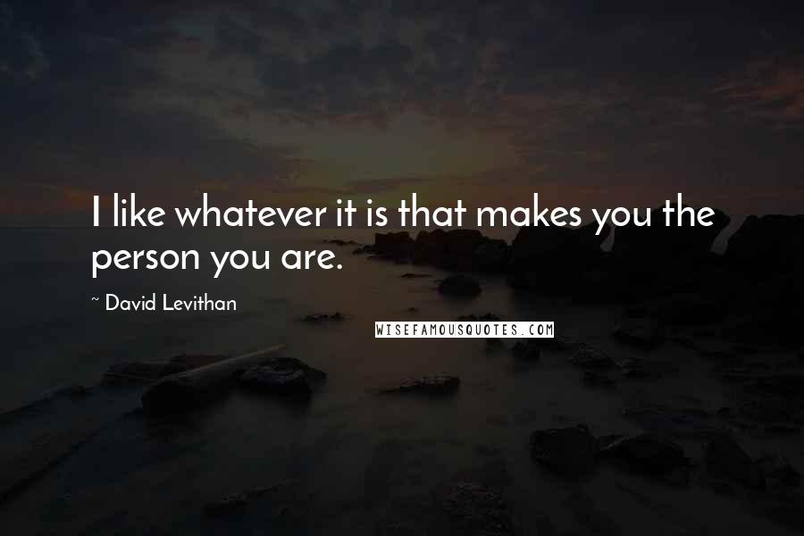 David Levithan Quotes: I like whatever it is that makes you the person you are.