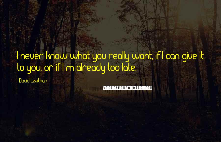 David Levithan Quotes: I never know what you really want, if I can give it to you, or if I'm already too late.