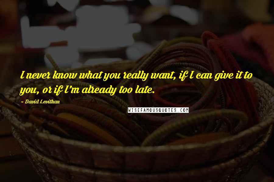 David Levithan Quotes: I never know what you really want, if I can give it to you, or if I'm already too late.
