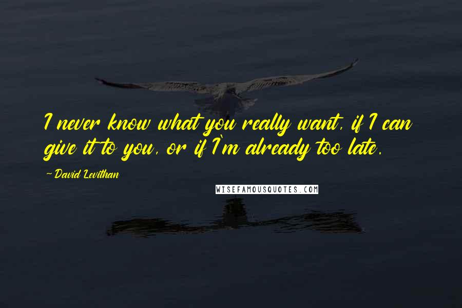 David Levithan Quotes: I never know what you really want, if I can give it to you, or if I'm already too late.