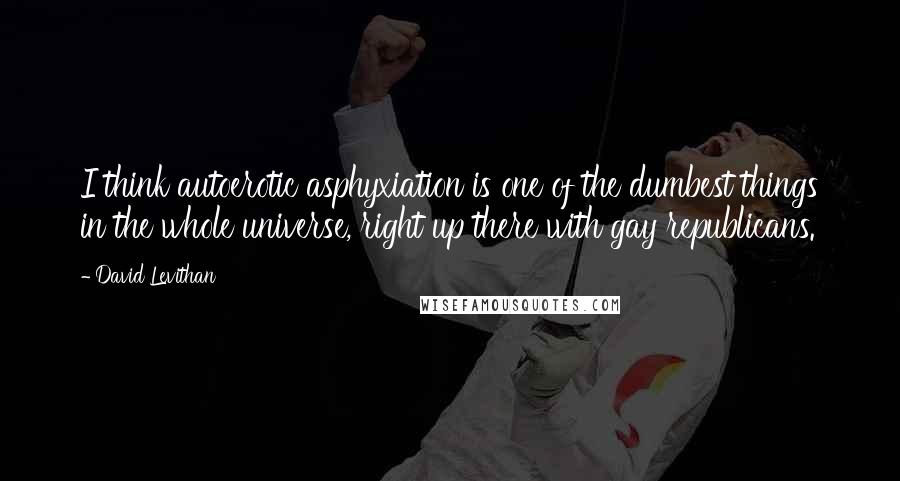 David Levithan Quotes: I think autoerotic asphyxiation is one of the dumbest things in the whole universe, right up there with gay republicans.