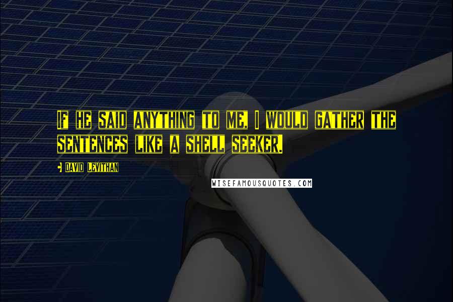 David Levithan Quotes: If he said anything to me, I would gather the sentences like a shell seeker.