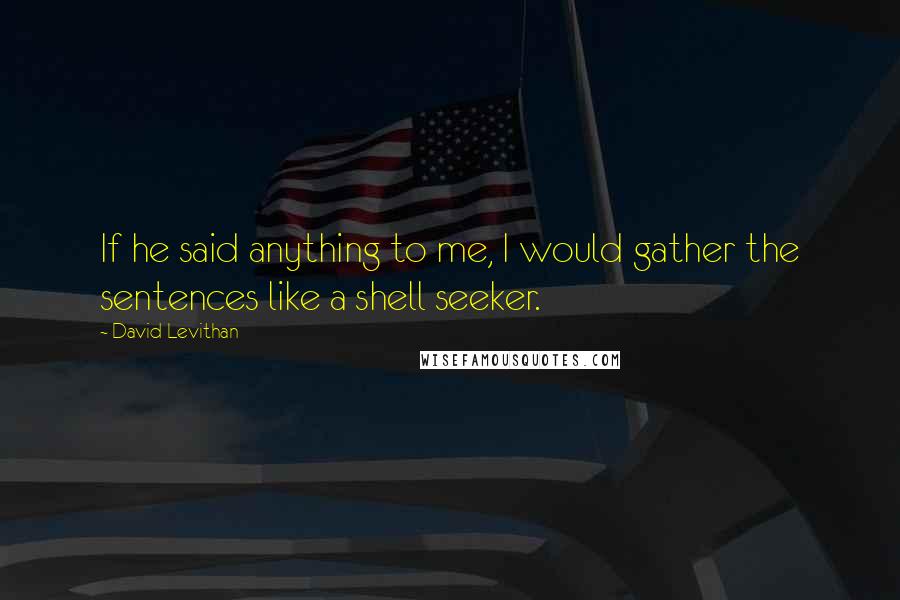 David Levithan Quotes: If he said anything to me, I would gather the sentences like a shell seeker.
