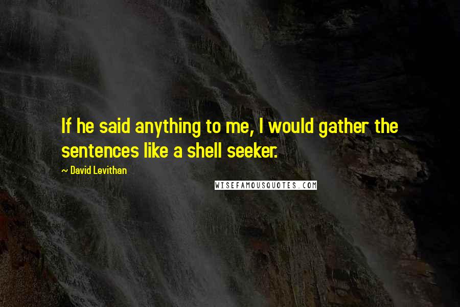 David Levithan Quotes: If he said anything to me, I would gather the sentences like a shell seeker.