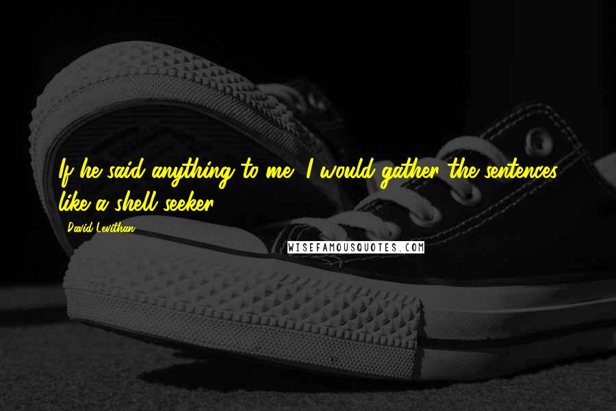David Levithan Quotes: If he said anything to me, I would gather the sentences like a shell seeker.
